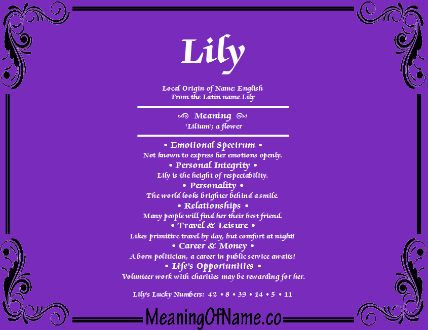Lily Meaning Of Name