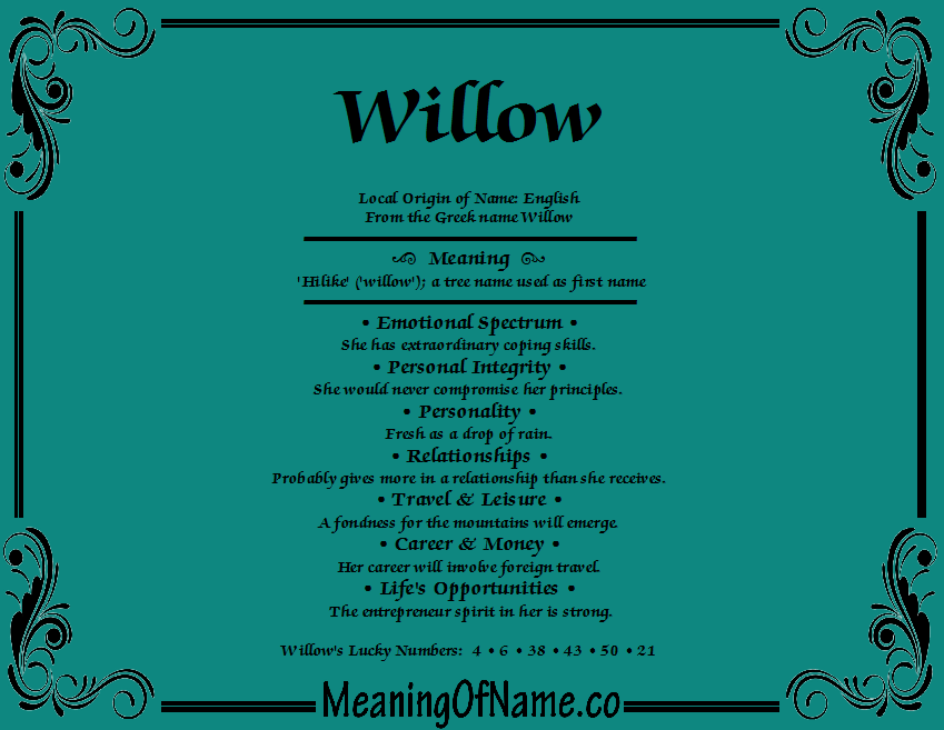 Willow - Meaning of Name