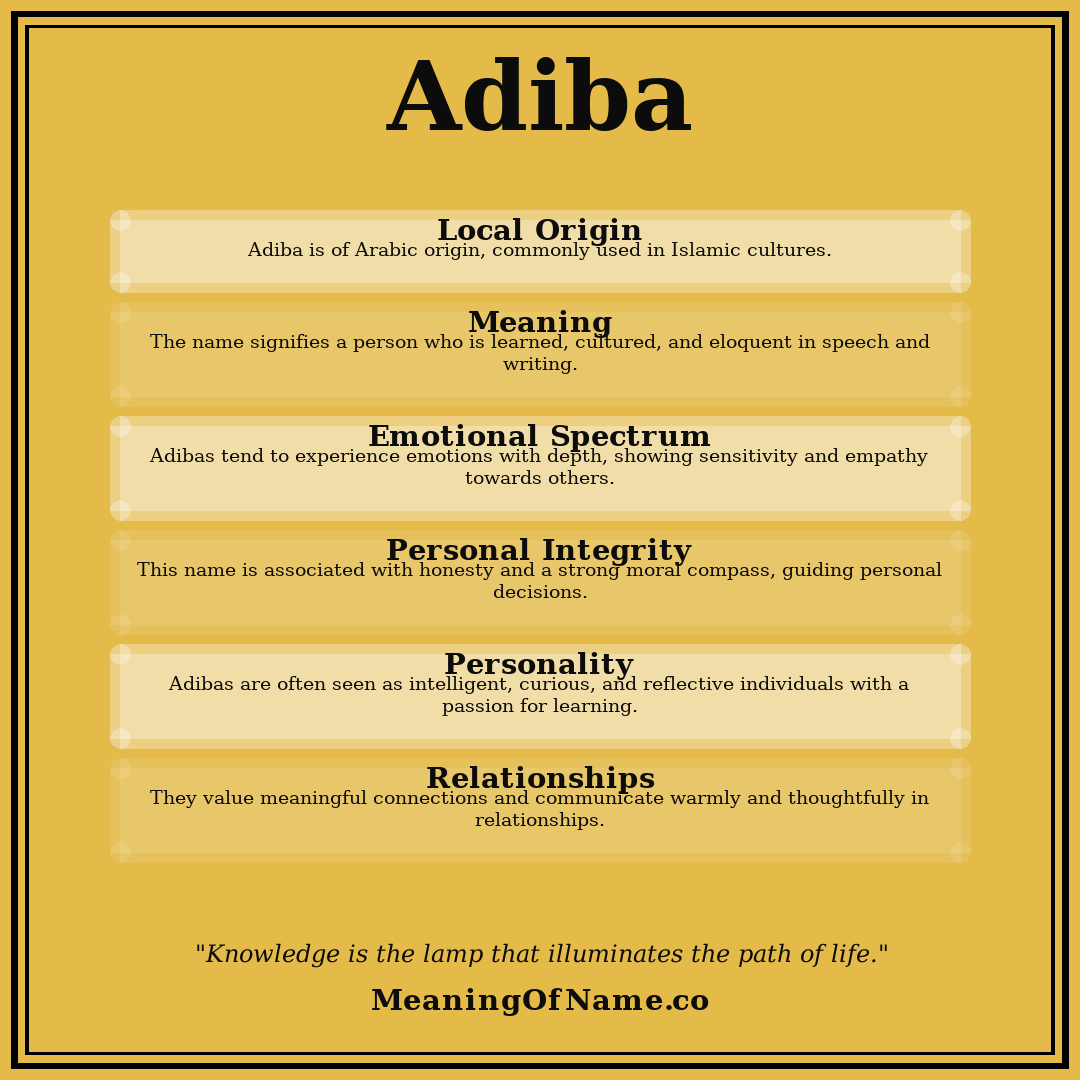 Adiba name meaning poster