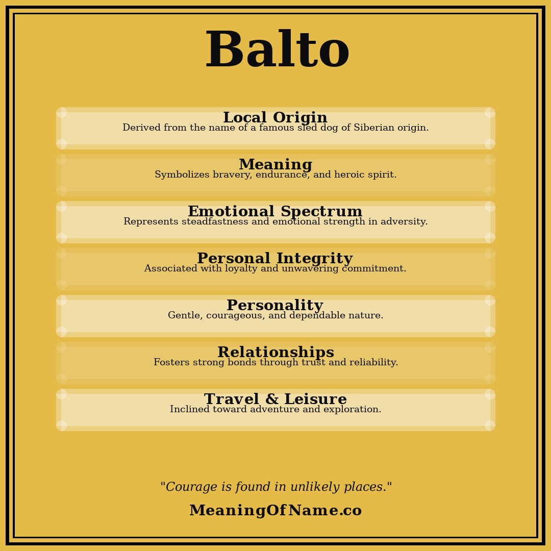 Balto name meaning poster