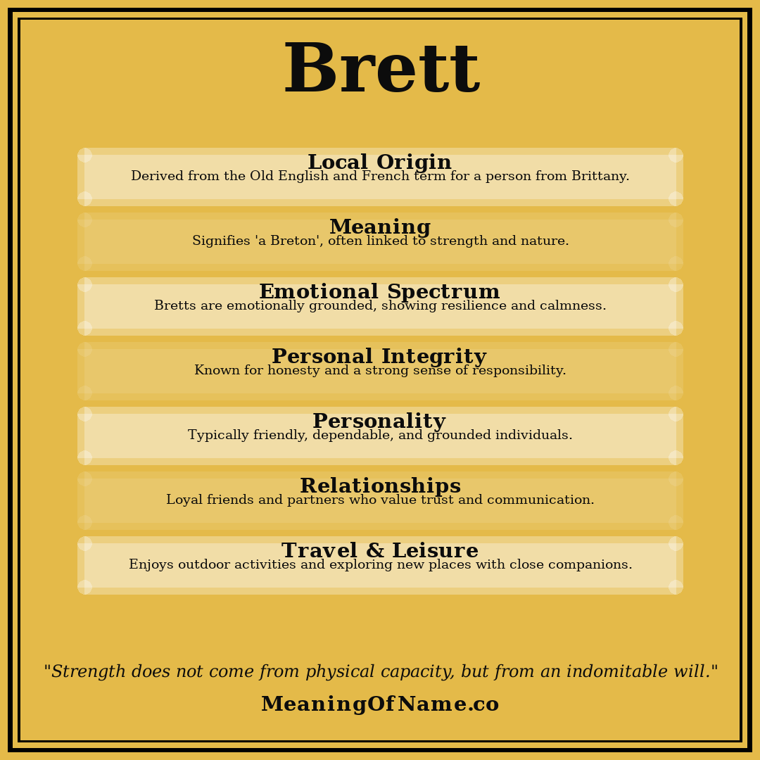 Brett name meaning poster