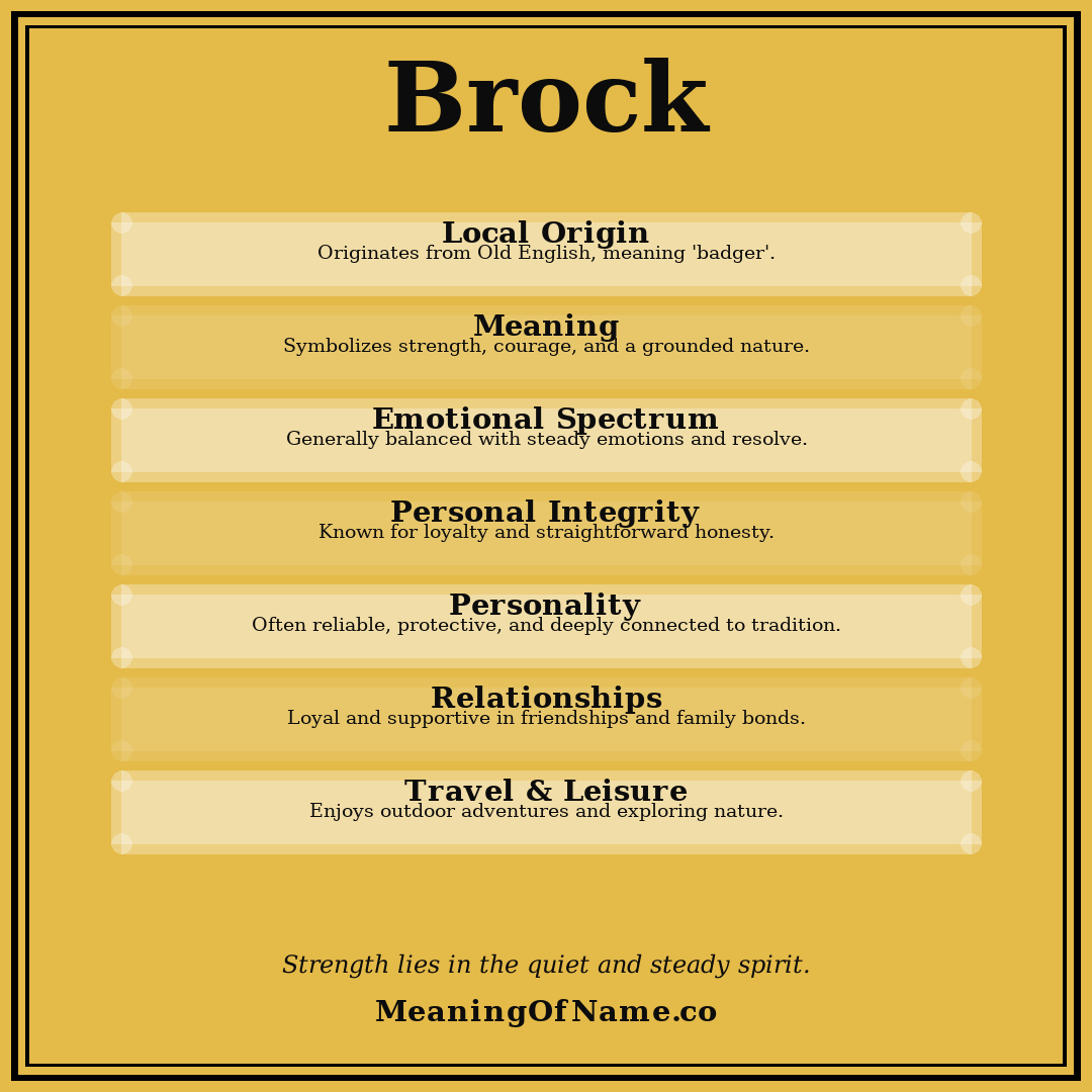 Brock name meaning poster
