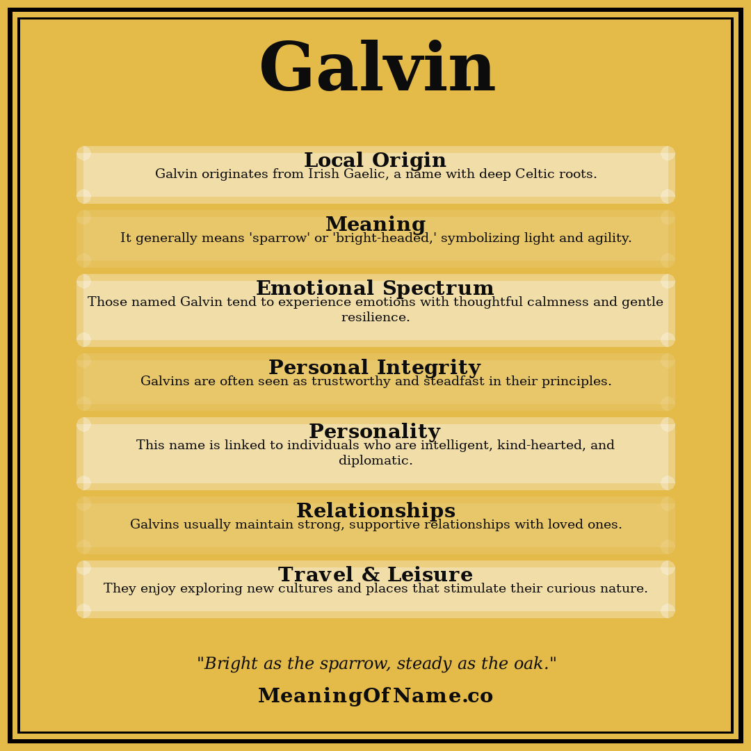 Galvin name meaning poster