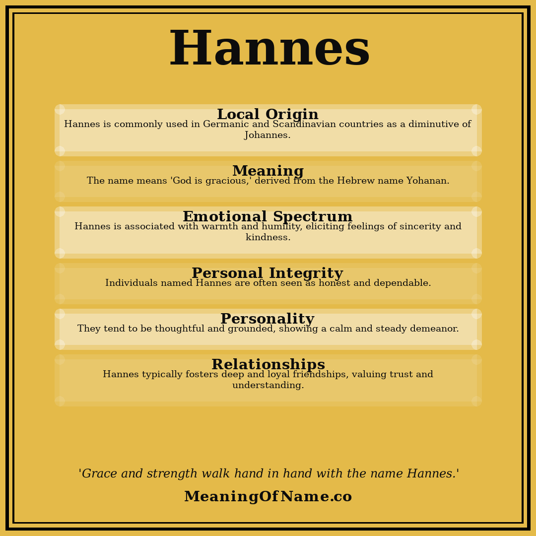 Hannes name meaning poster