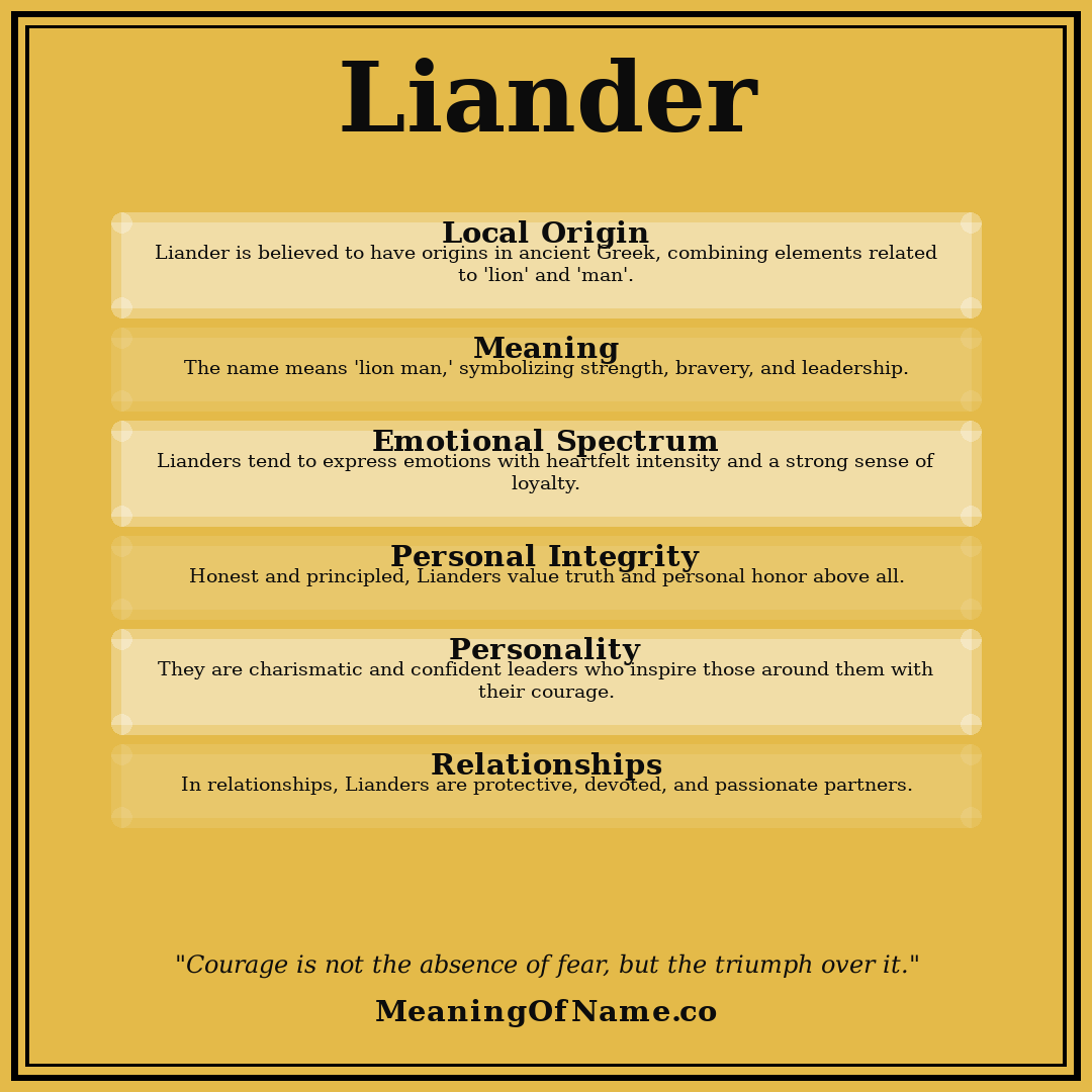 Liander name meaning poster