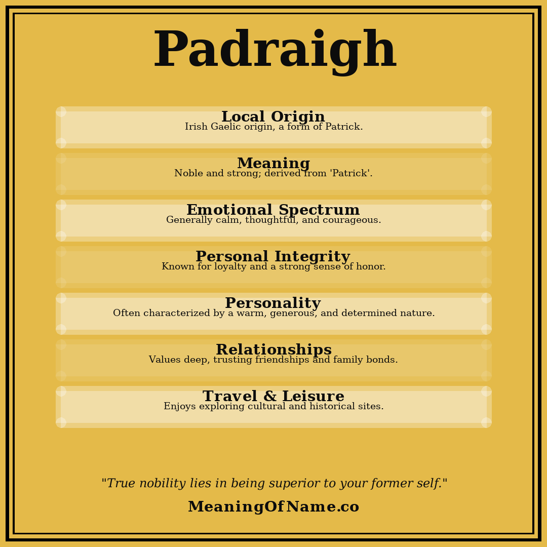 Padraigh name meaning poster