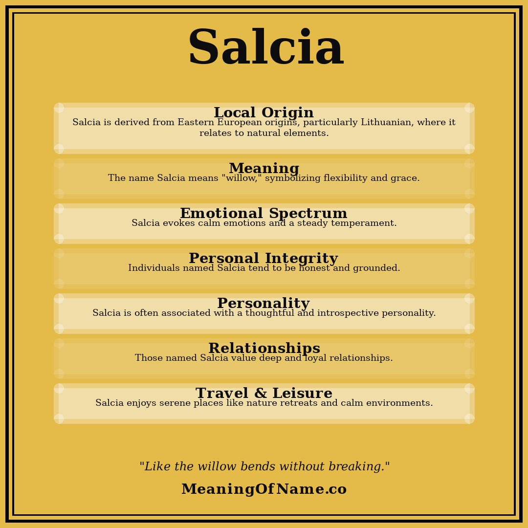 Salcia name meaning poster