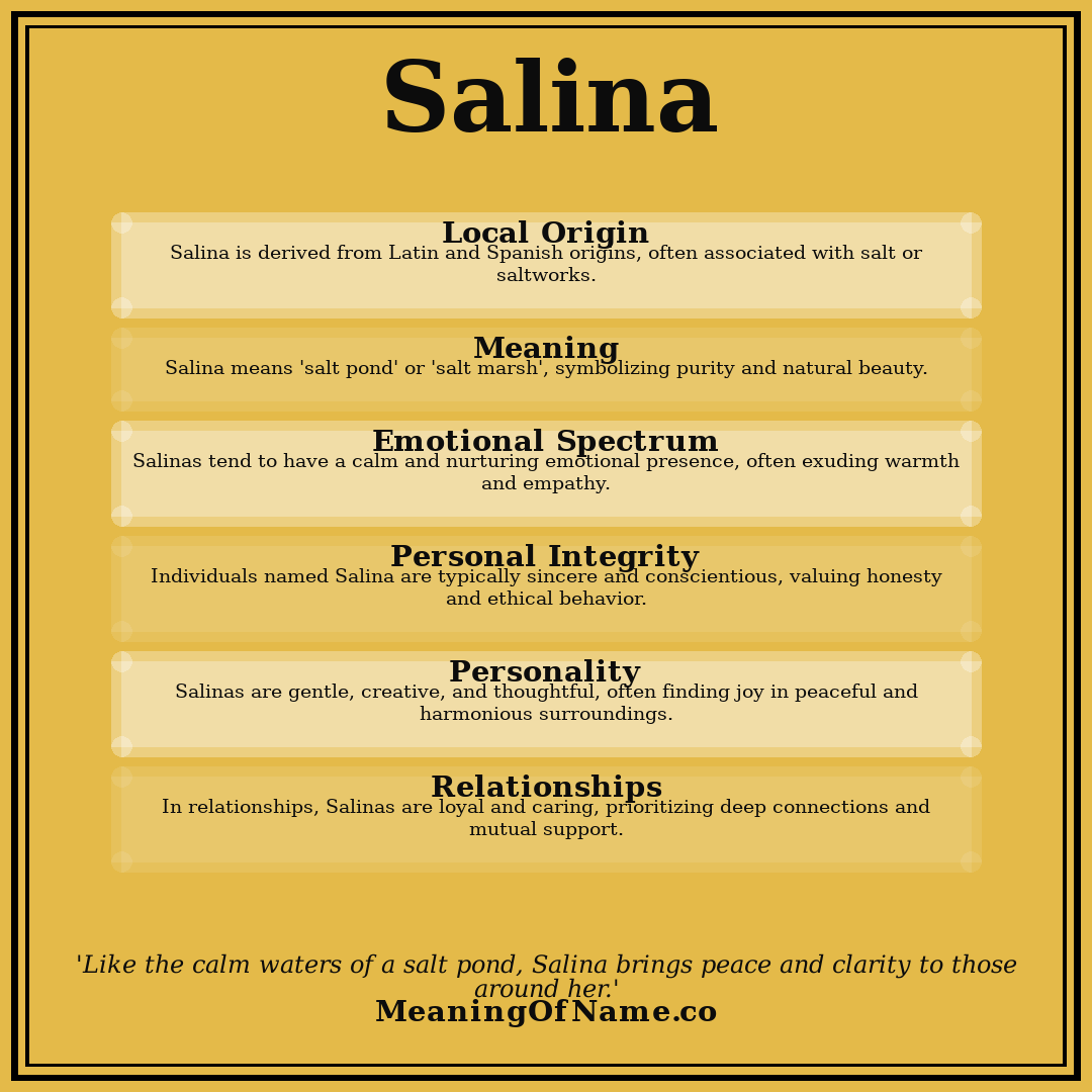 Salina name meaning poster