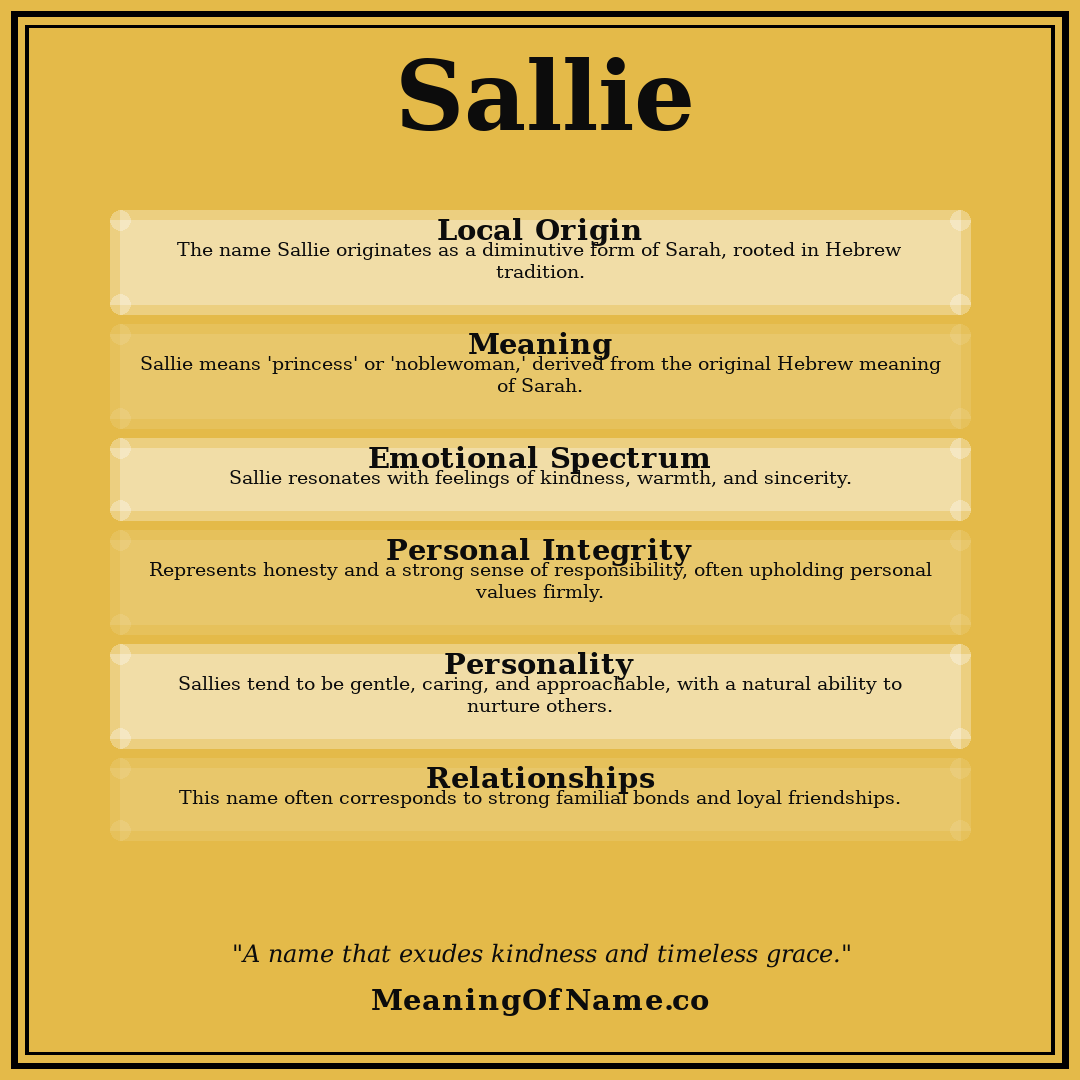 Sallie name meaning poster