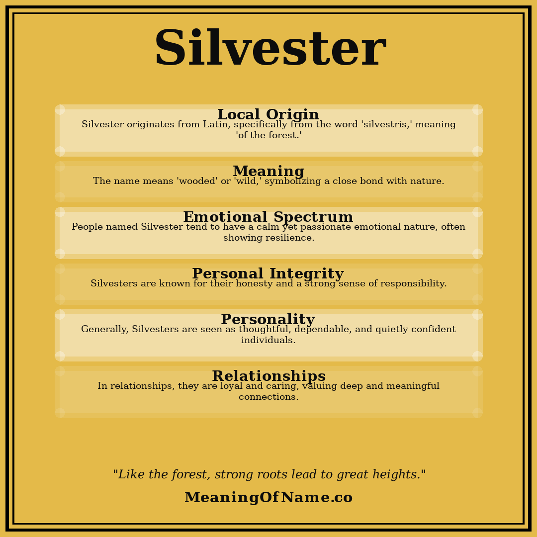 Silvester name meaning poster