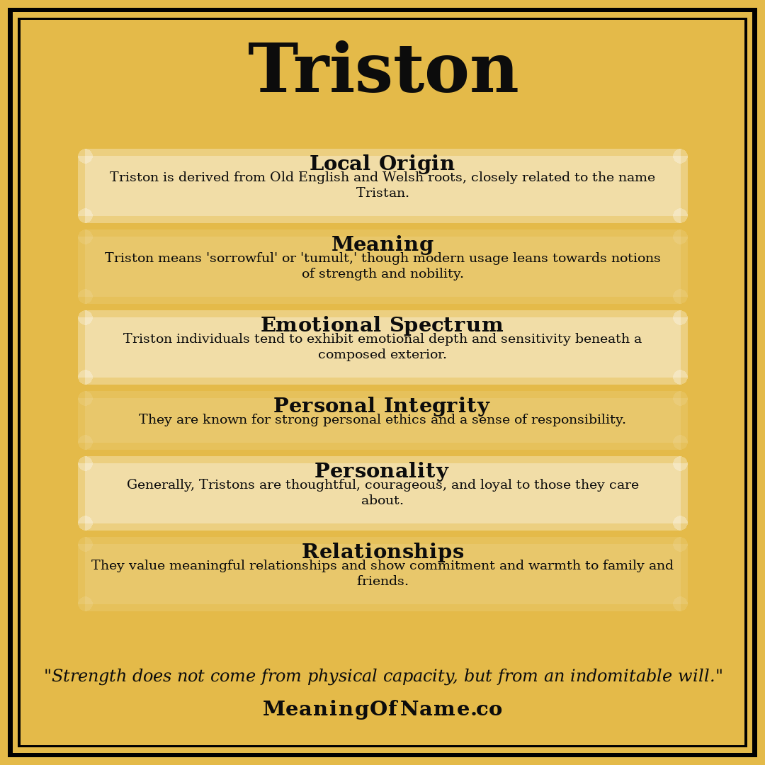 Triston name meaning poster