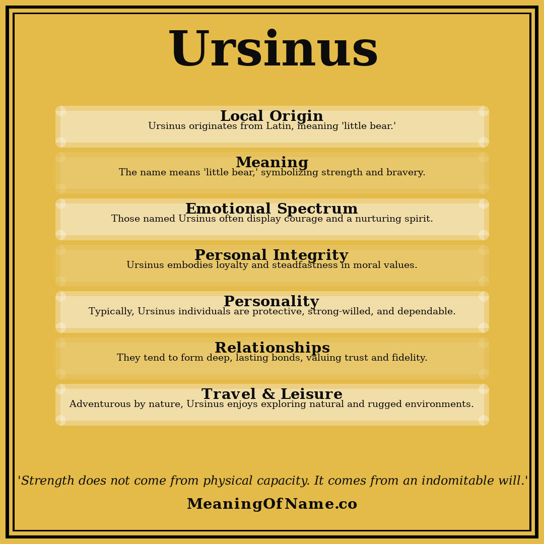 Ursinus name meaning poster