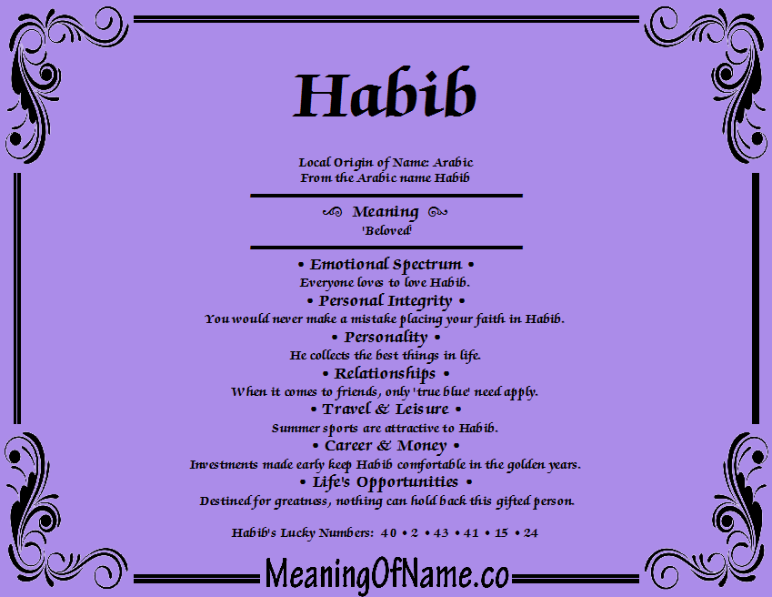 Meaning of Name Habib