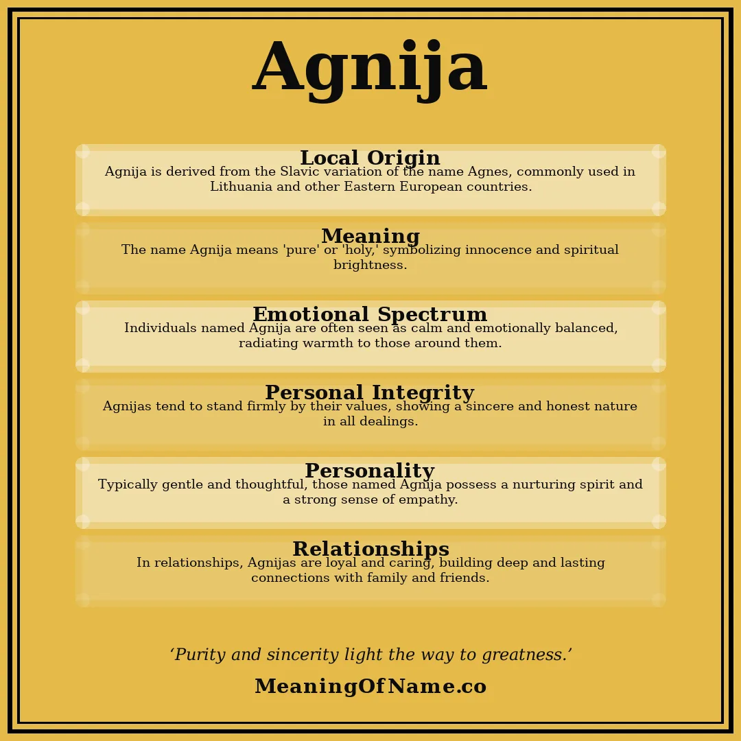 Agnija name meaning poster
