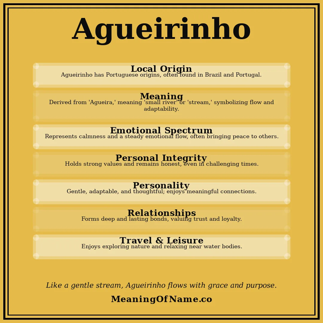 Agueirinho name meaning poster