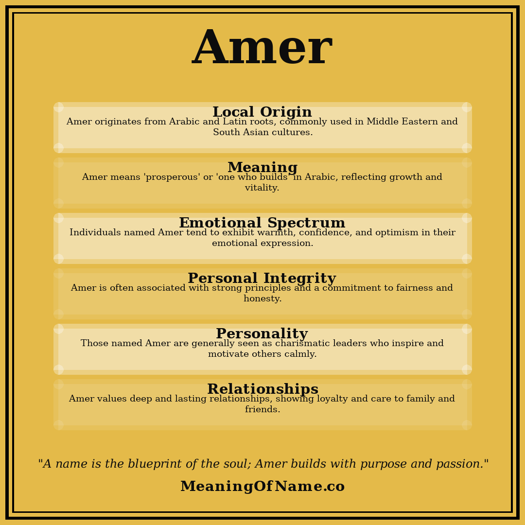 Amer name meaning poster