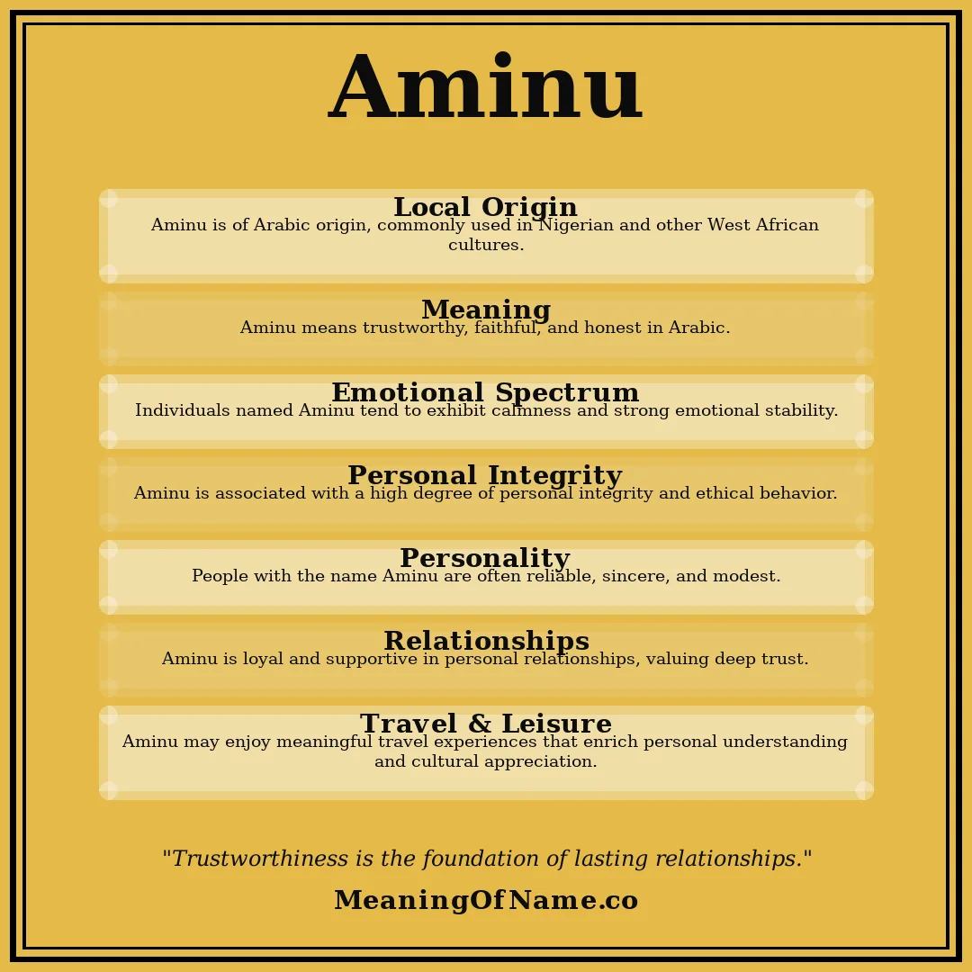 Aminu name meaning poster