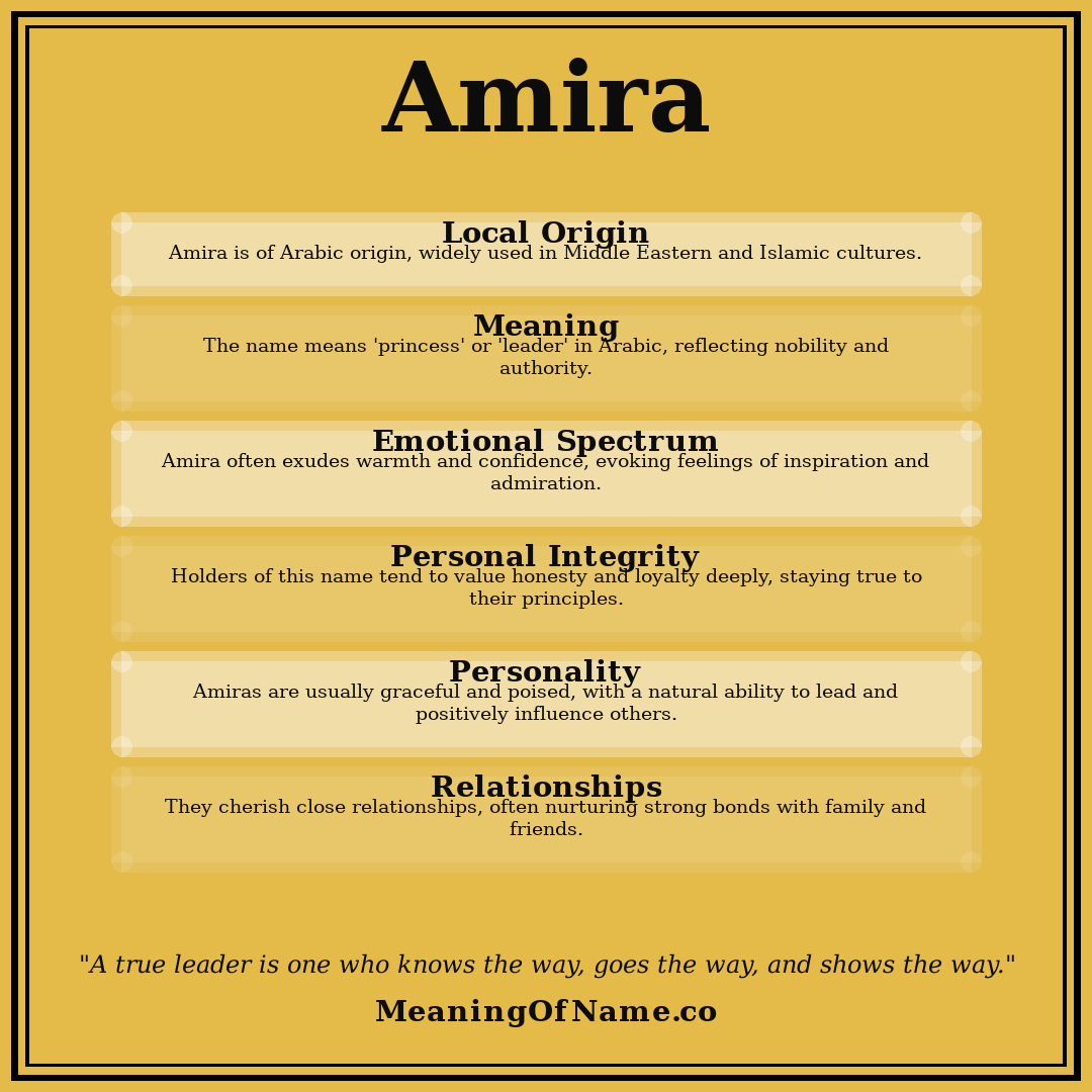 Amira name meaning poster