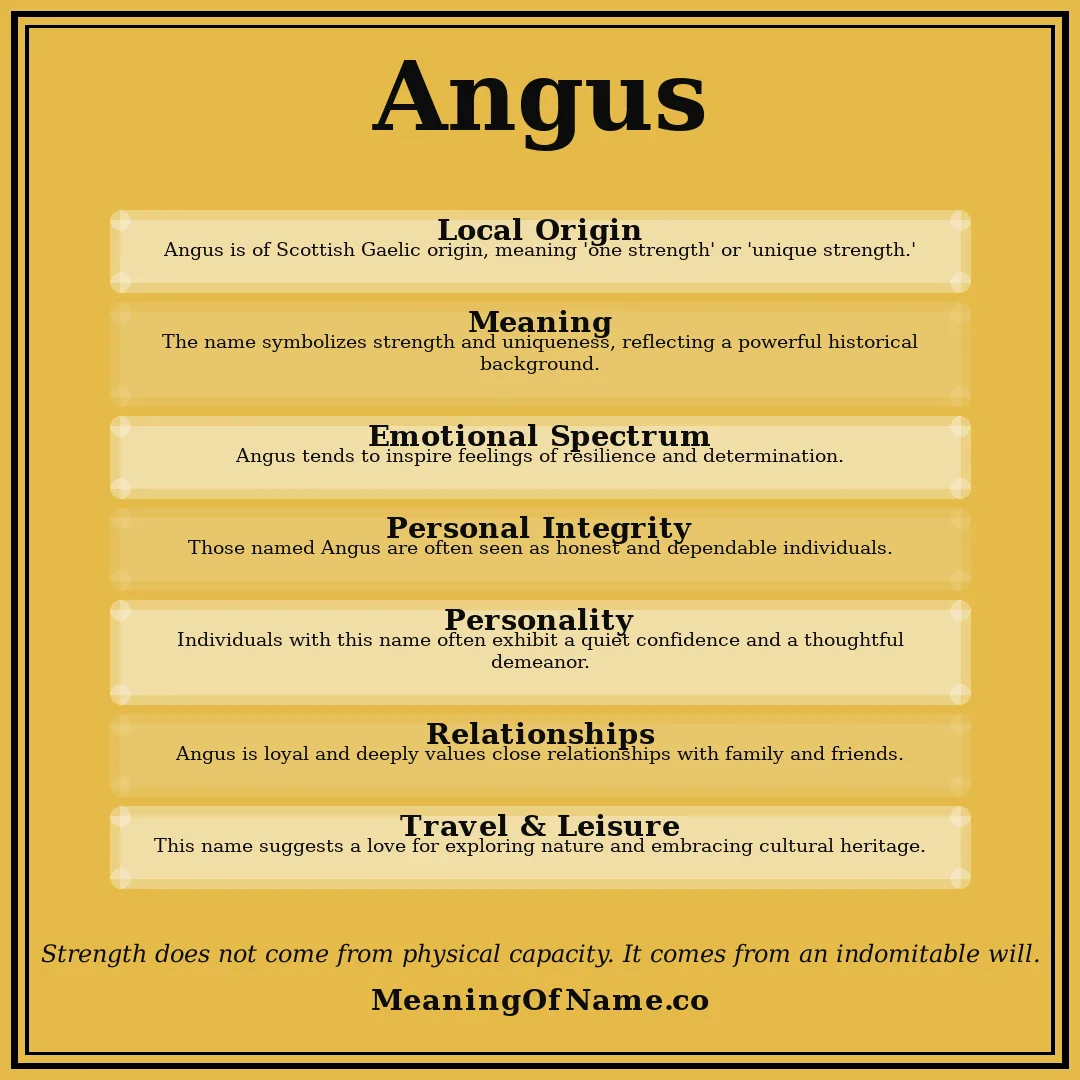 Angus name meaning poster