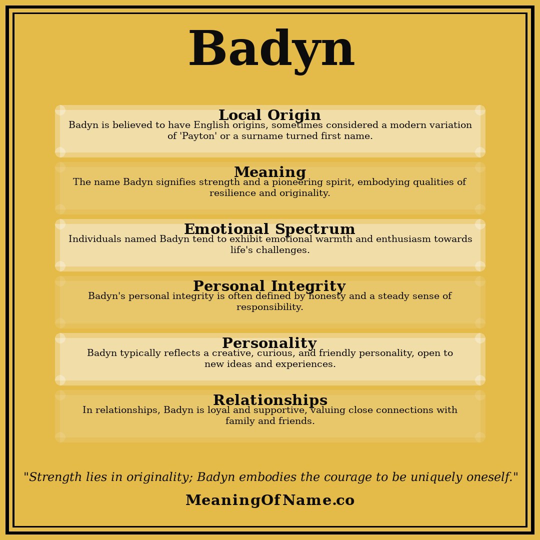 Badyn name meaning poster