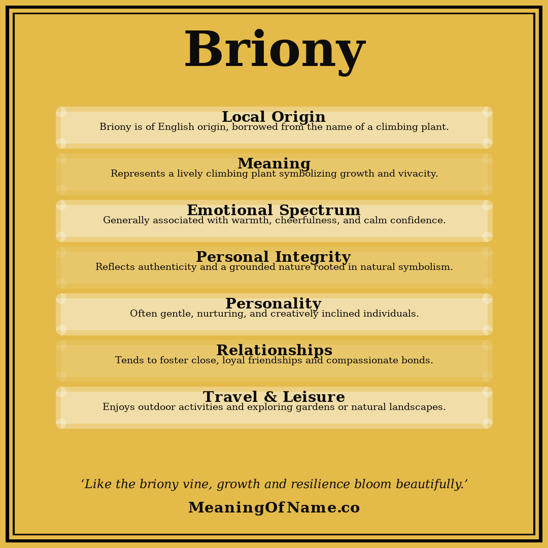 Briony name meaning poster