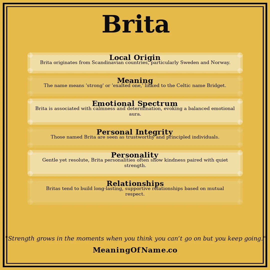 Brita name meaning poster