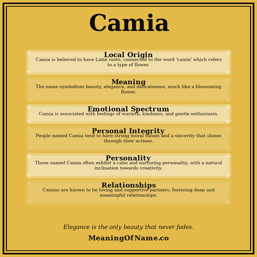 Camia name meaning poster