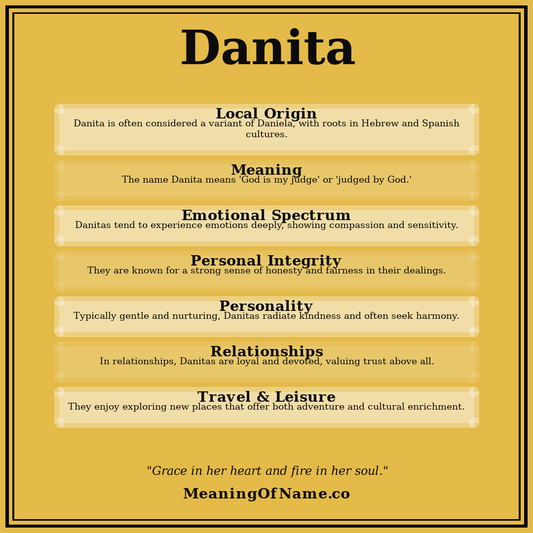 Danita name meaning poster