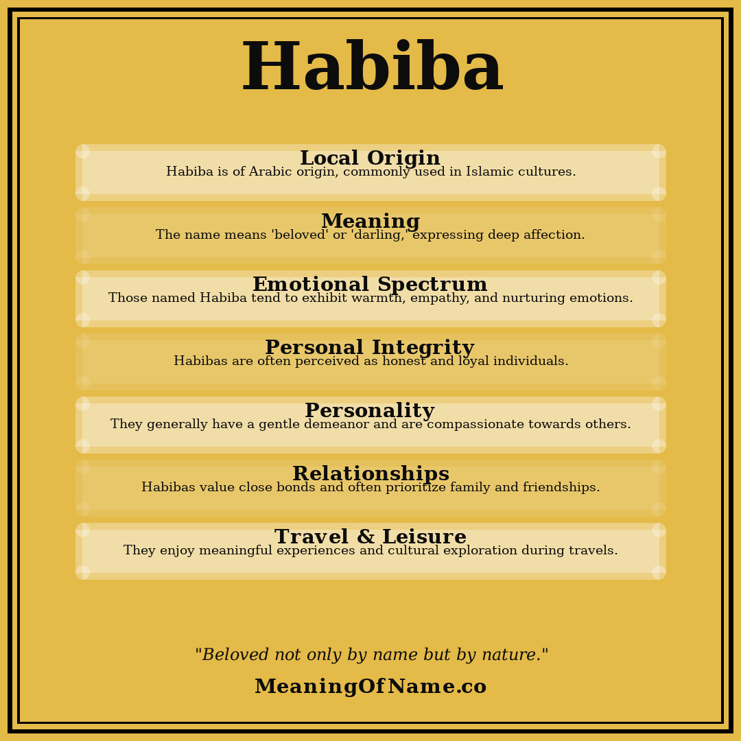 Habiba name meaning poster
