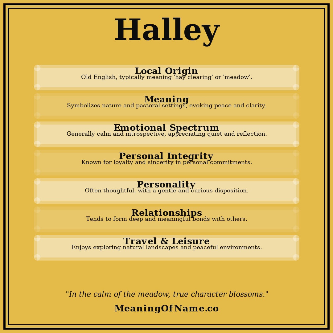 Halley name meaning poster