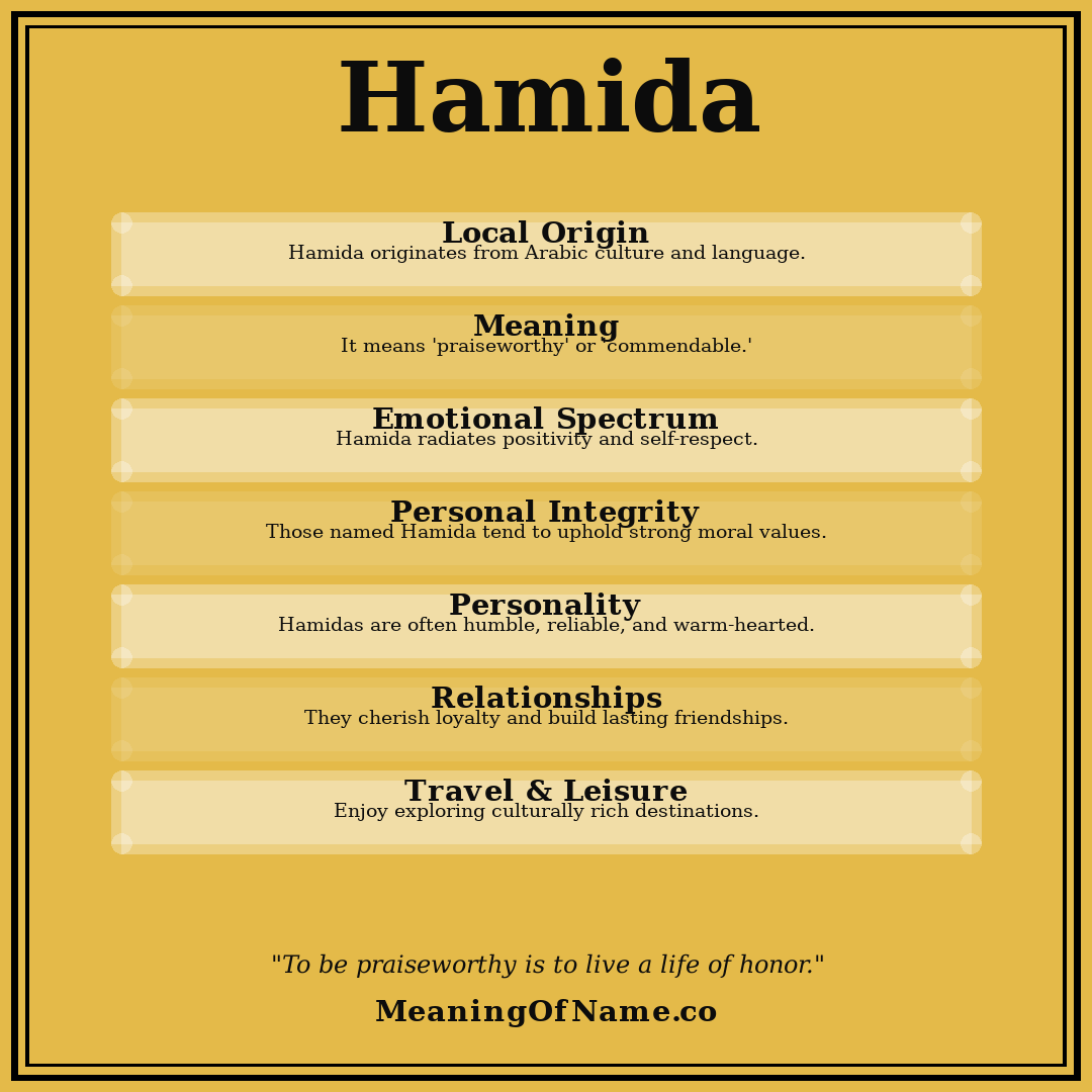 Hamida name meaning poster