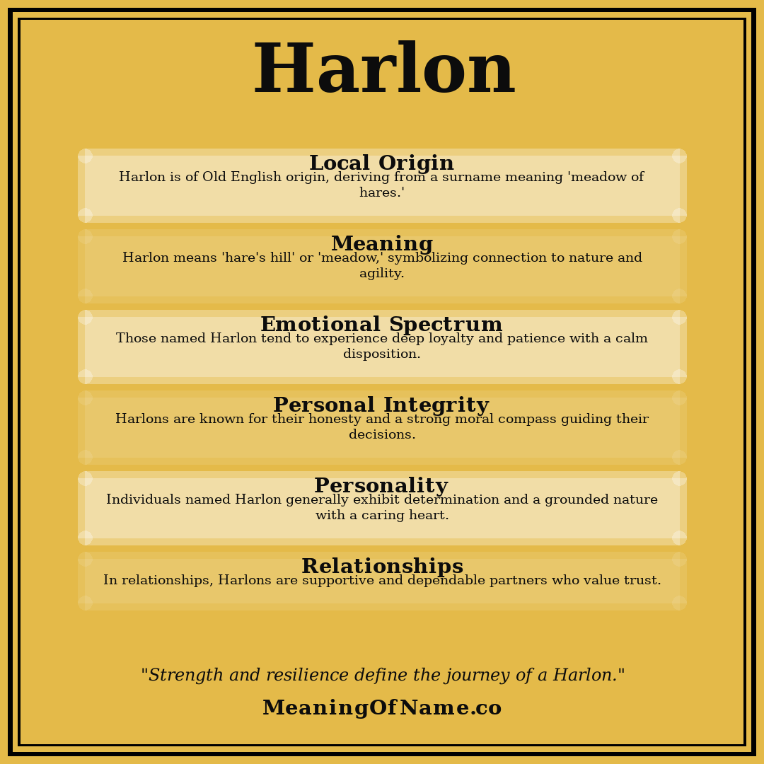 Harlon name meaning poster