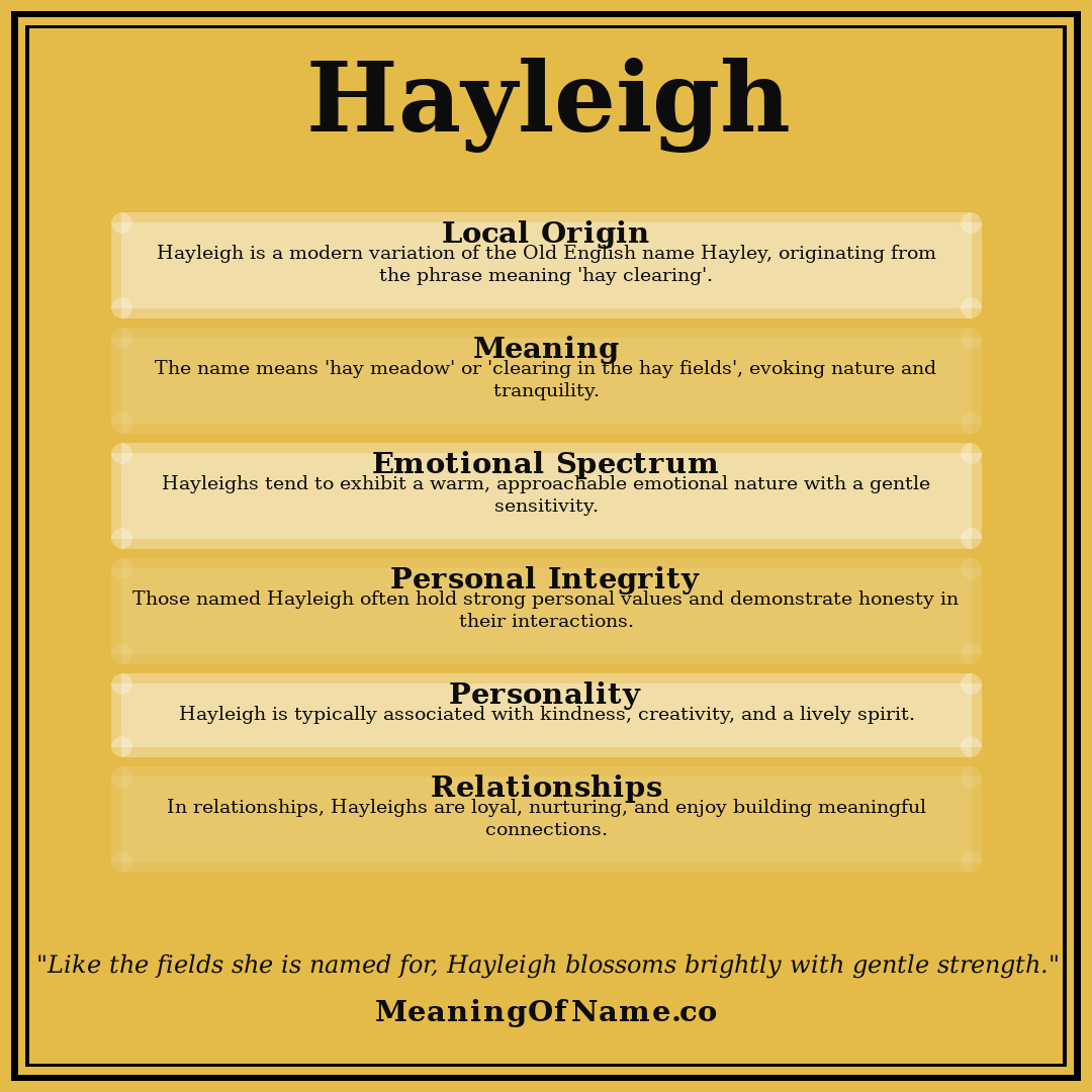 Hayleigh name meaning poster