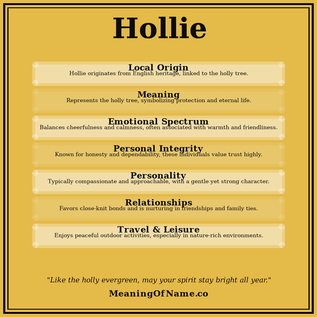 Hollie name meaning poster