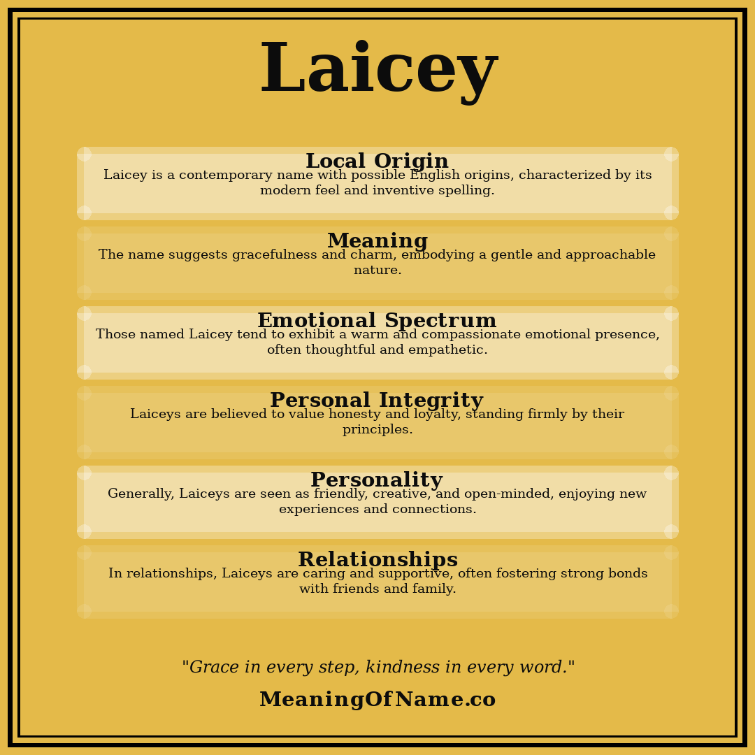 Laicey name meaning poster