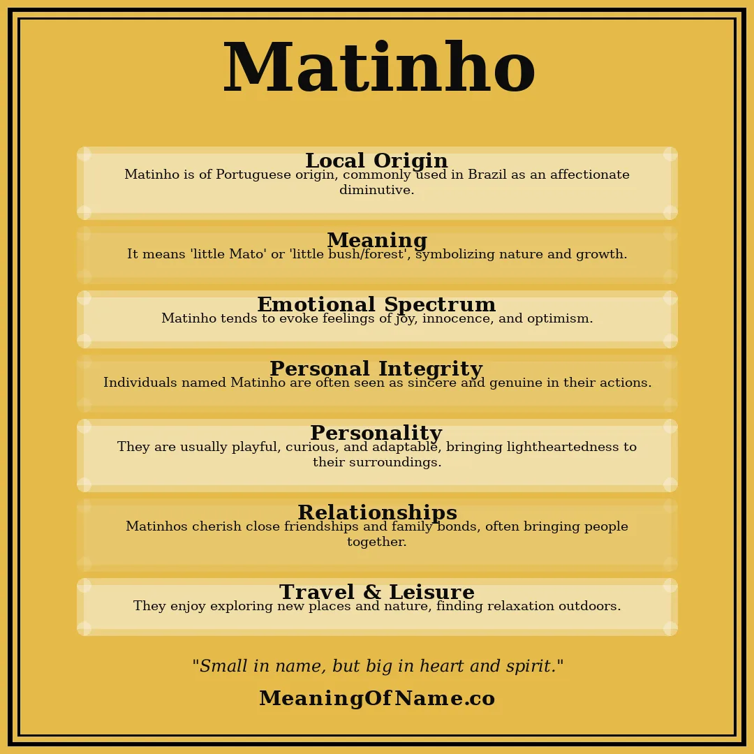 Matinho name meaning poster