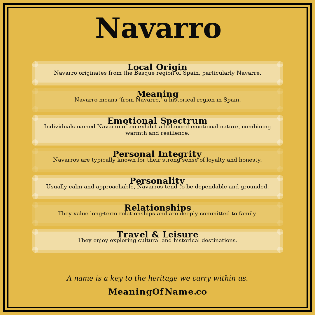 Navarro name meaning poster