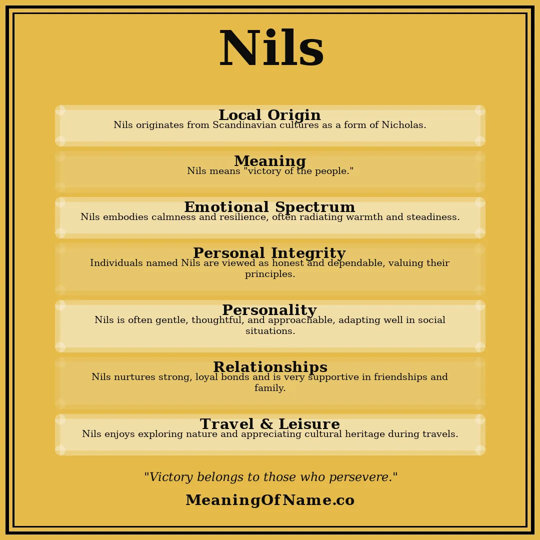 Nils name meaning poster