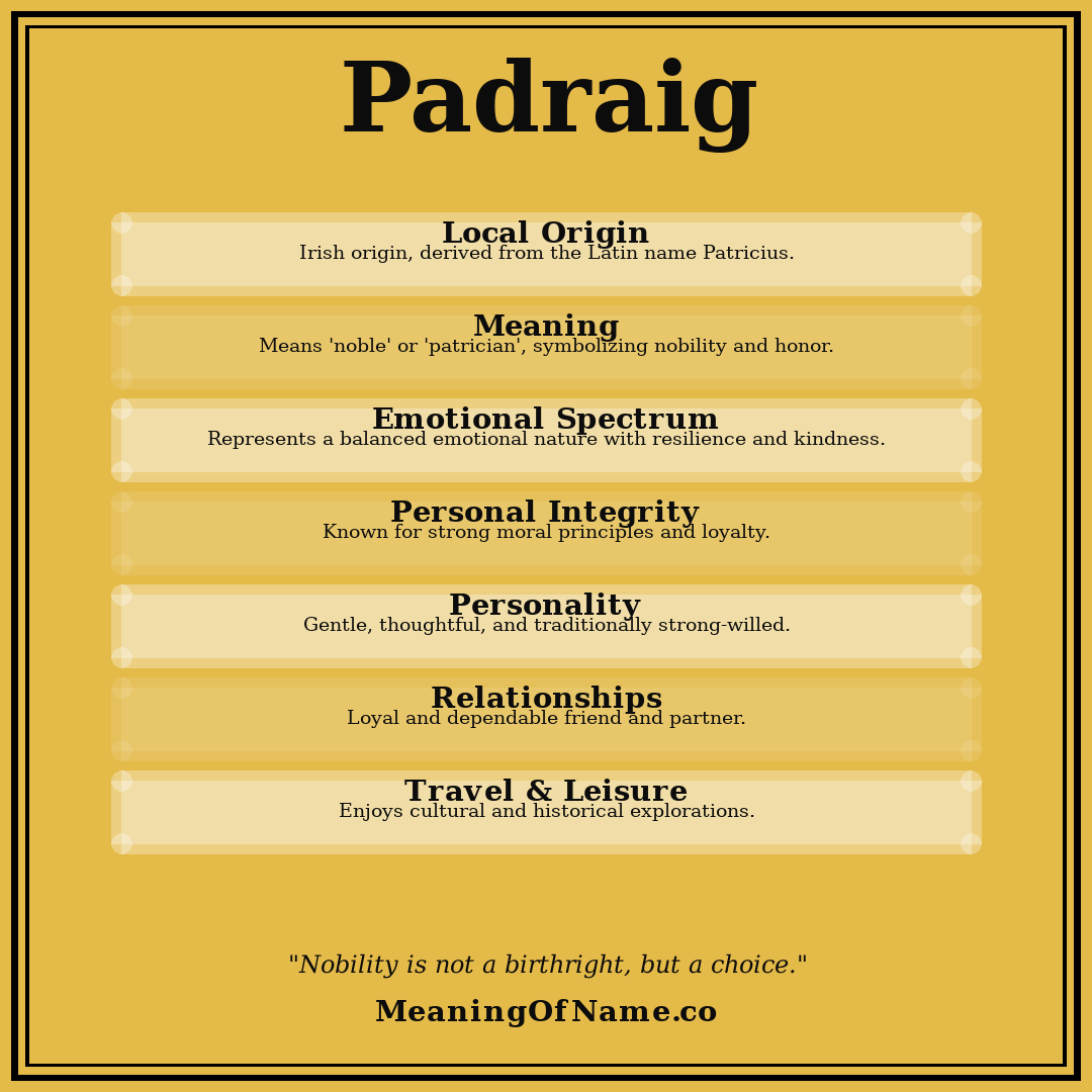 Padraig name meaning poster