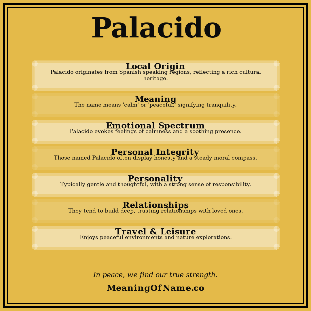 Palacido name meaning poster