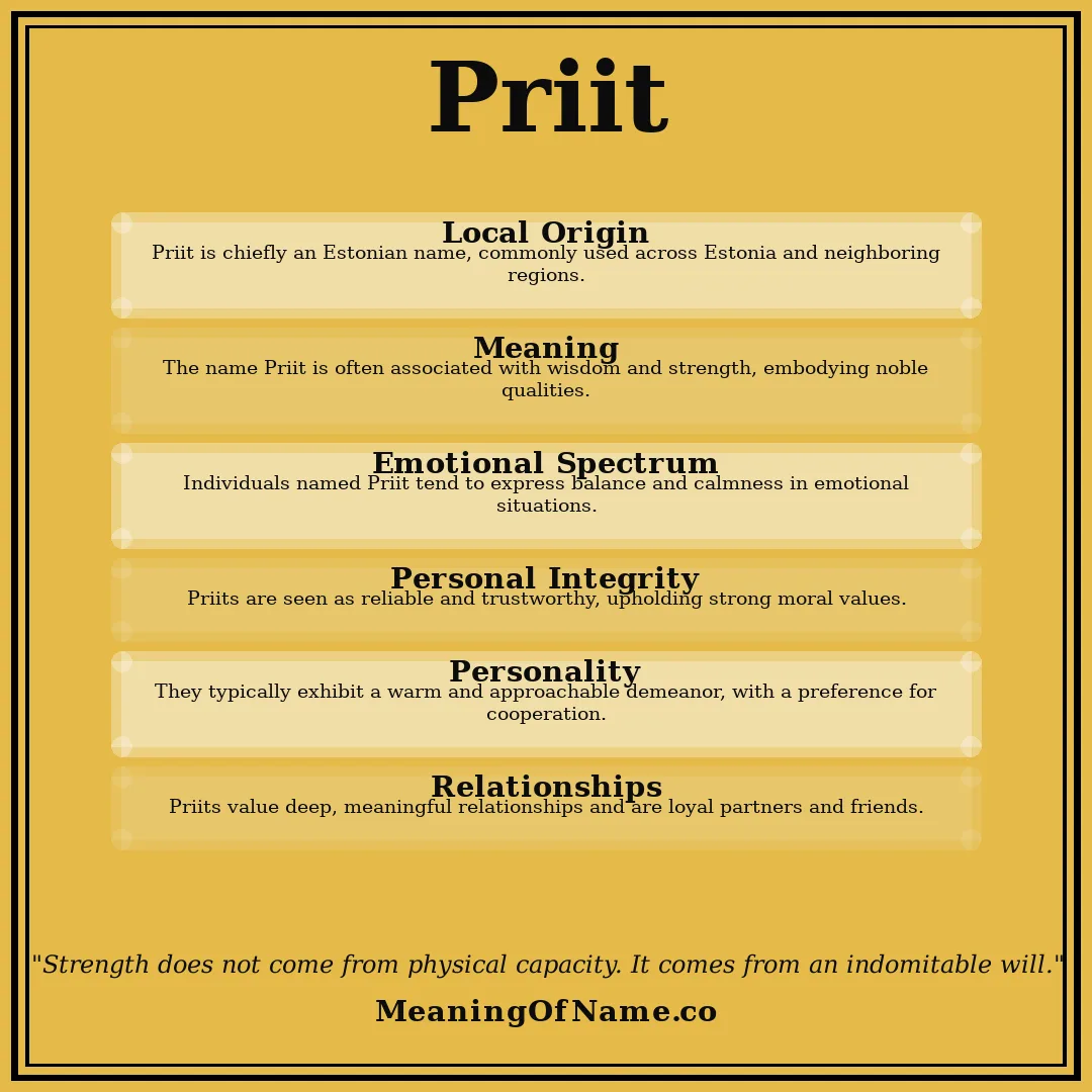 Priit name meaning poster