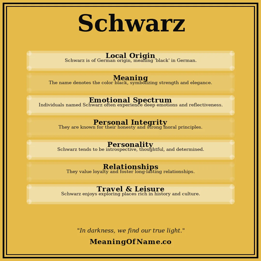 Schwarz name meaning poster