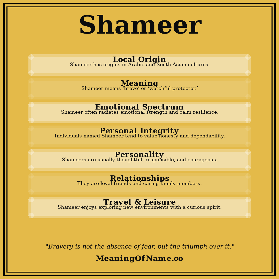 Shameer name meaning poster