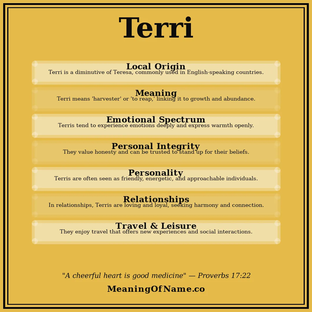Terri name meaning poster