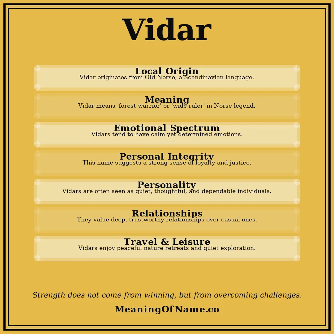 Vidar name meaning poster