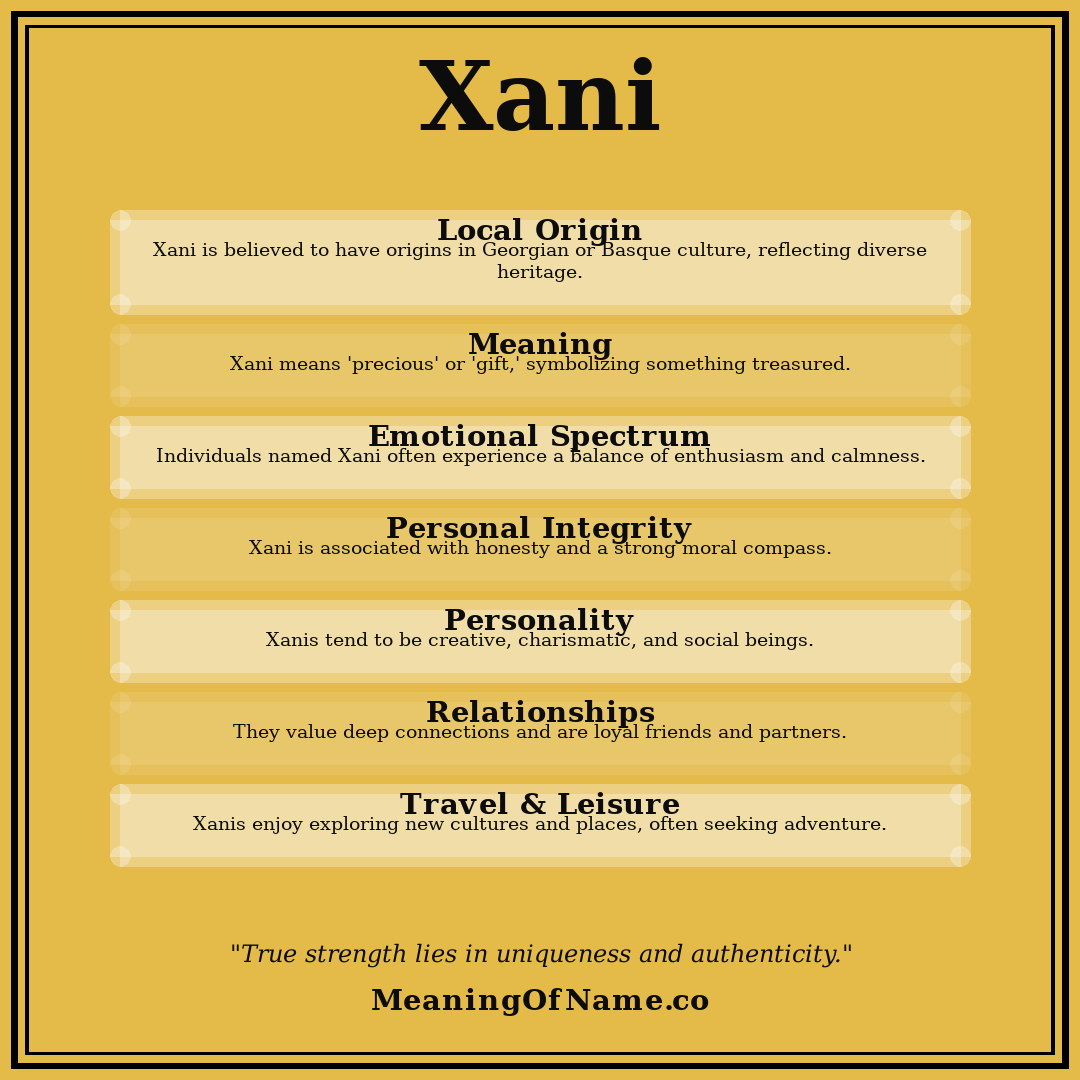 Xani name meaning poster